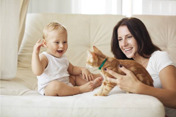 vermifuger chat protège famille