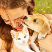 Kat en hond samen opvoeden? Het kan!