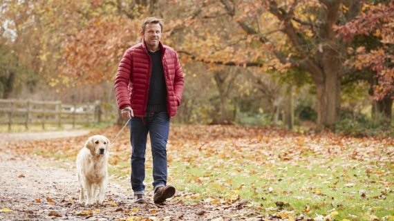 Mag je nog met je hond wandelen als hij artrose heeft?